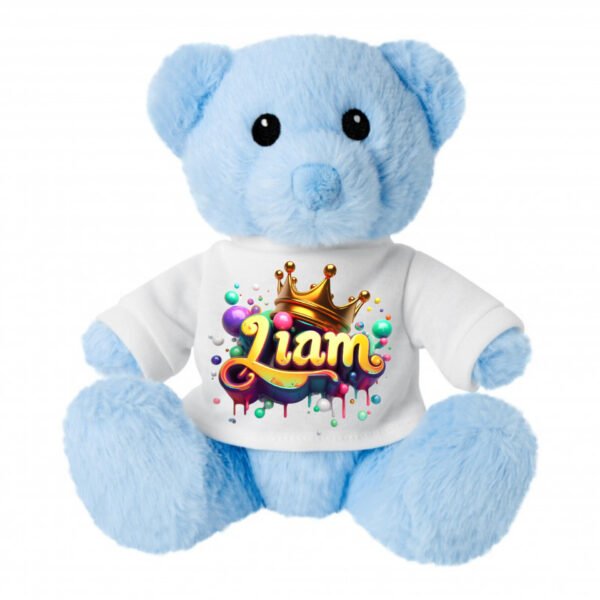 Blue Enchanting Personalized Teddy Bear Soft Toy